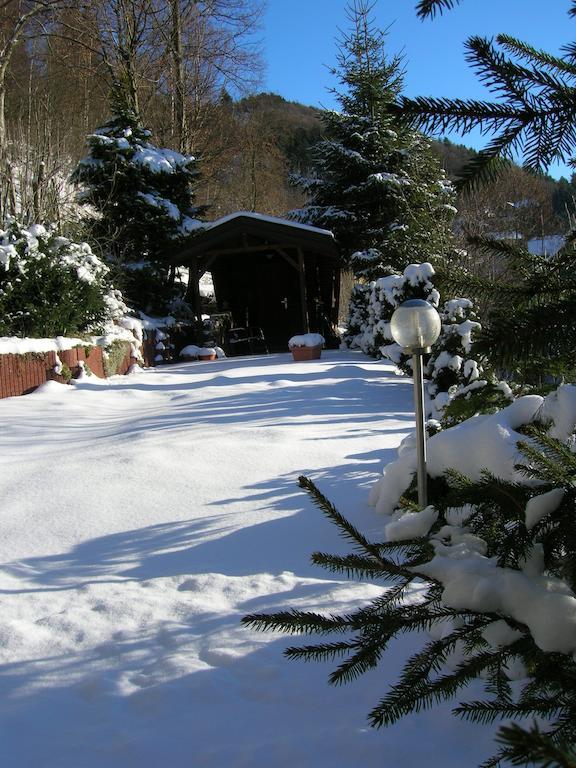 Aktivpension Regenbogen Willingen  Bagian luar foto